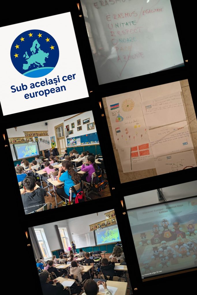 poza activitate