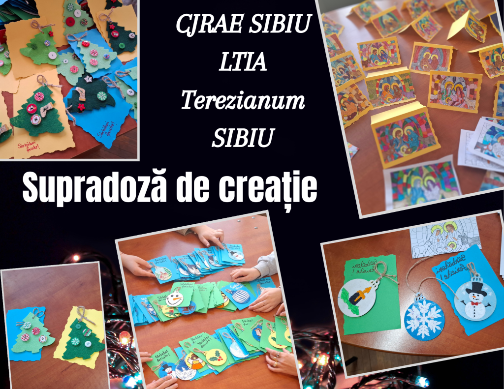 poza activitate