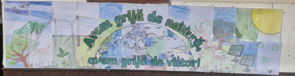 poza activitate