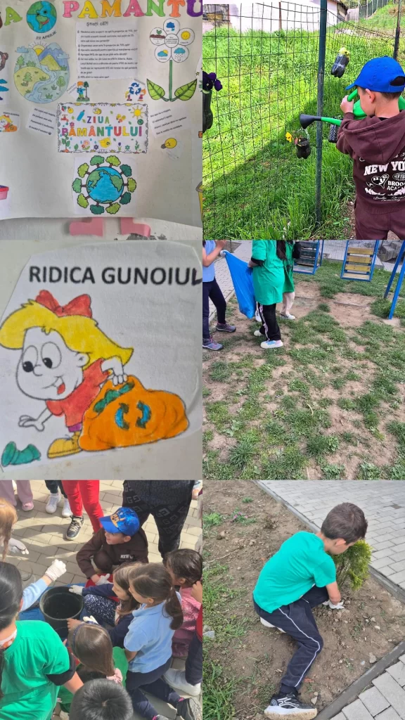 poza activitate