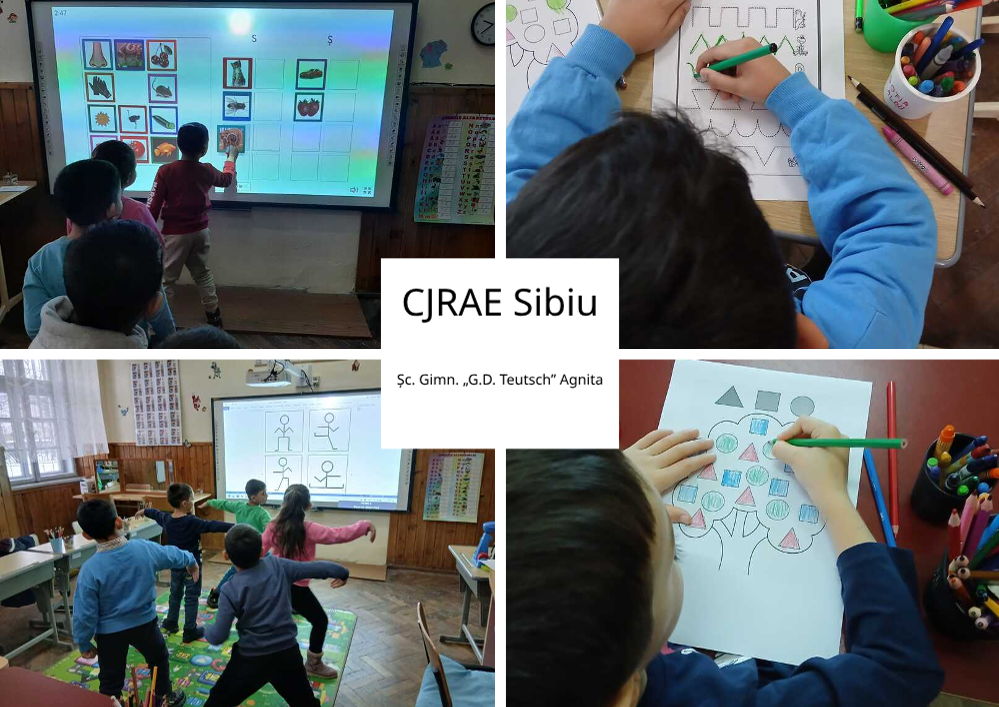 poza activitate