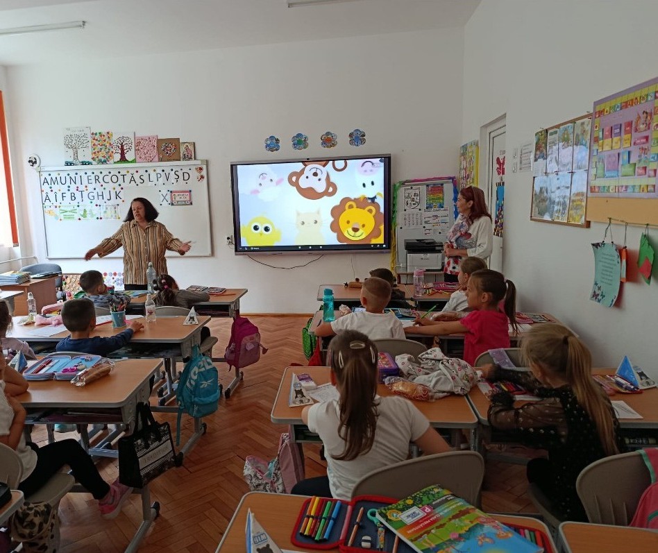 poza activitate